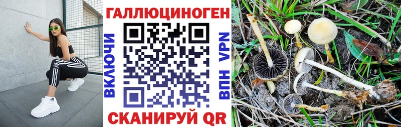 купить наркоту  ОМГ ОМГ ссылка  Галлюциногенные грибы мухоморы  Ступино 